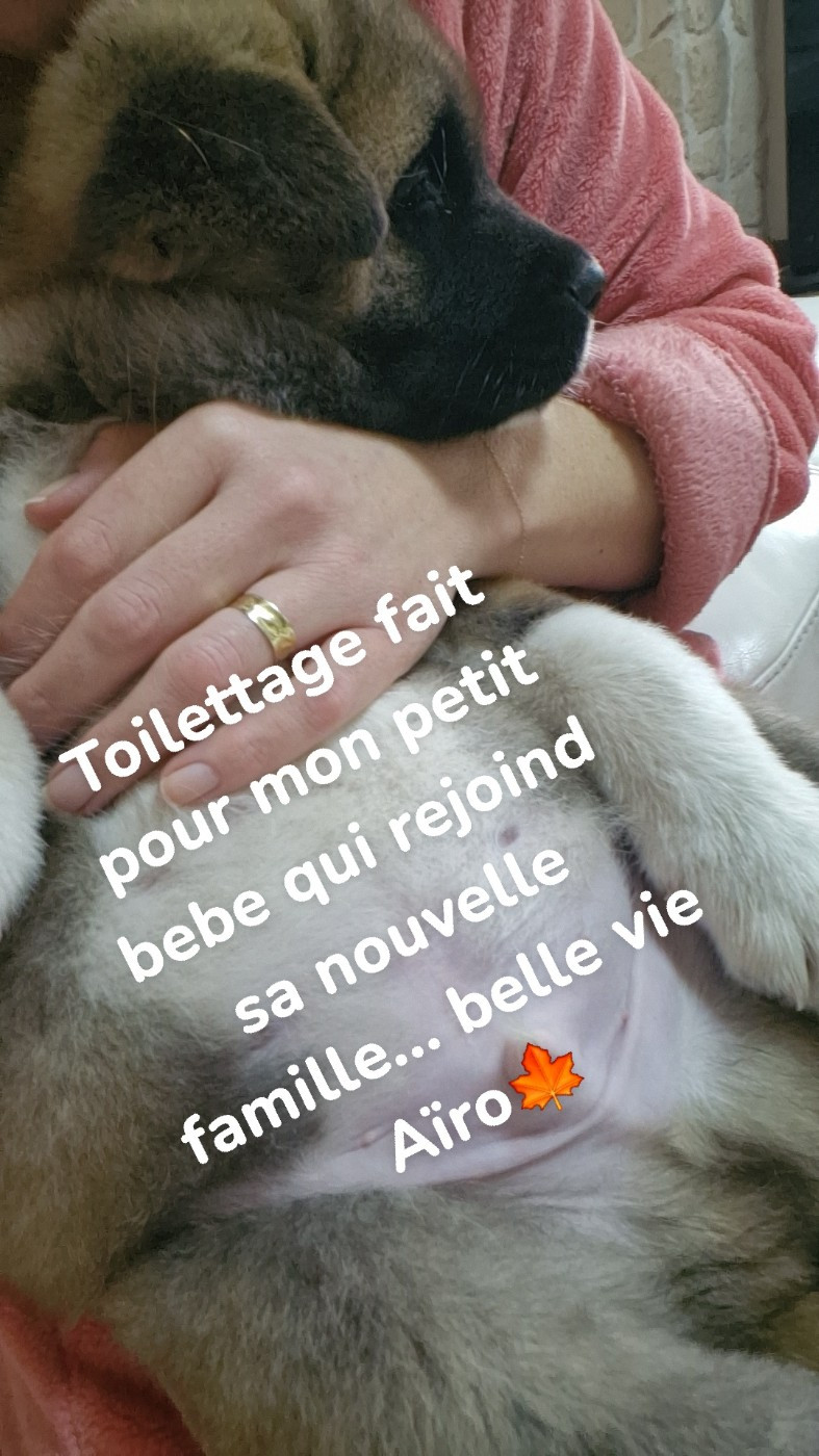 Of Majestic Japanese - Le départ d'Aïro