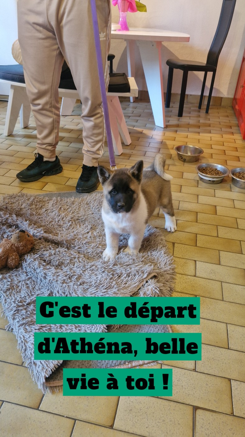 Le départ d'Athéna