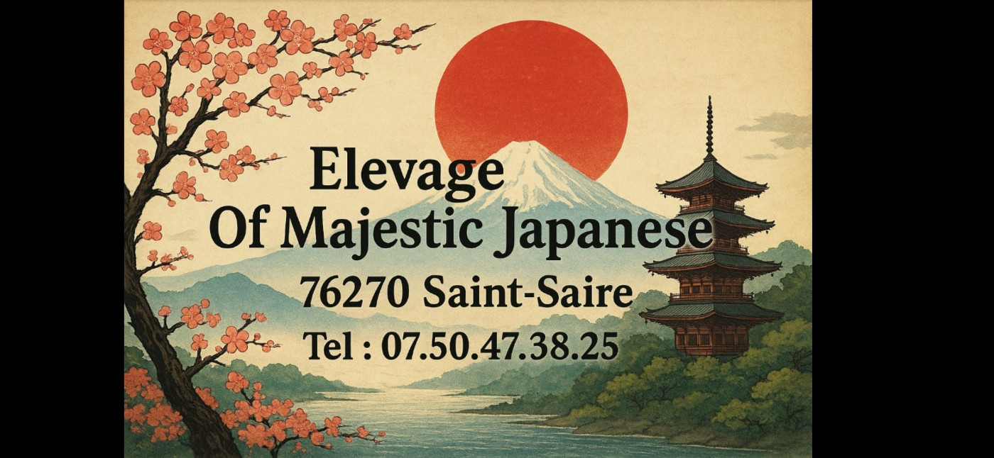 Of Majestic Japanese